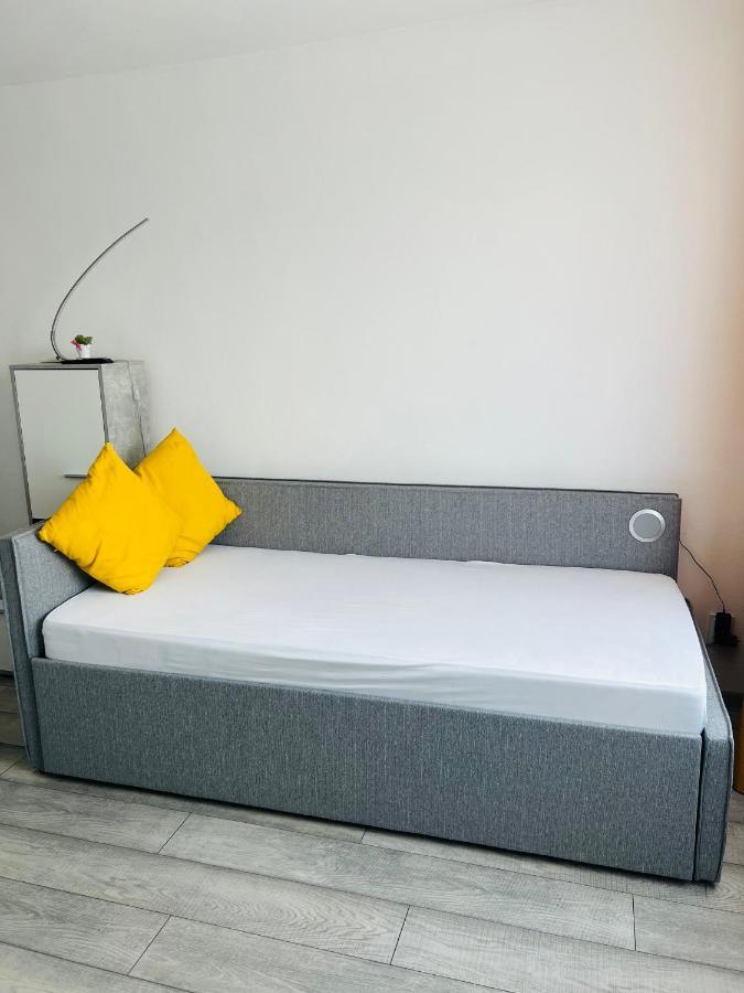 Miha Modern And Central Apartament Arad Dış mekan fotoğraf