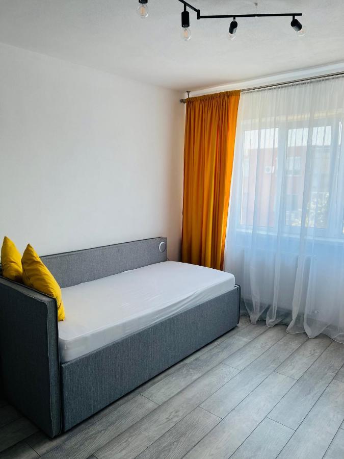 Miha Modern And Central Apartament Arad Dış mekan fotoğraf