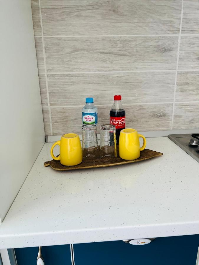 Miha Modern And Central Apartament Arad Dış mekan fotoğraf