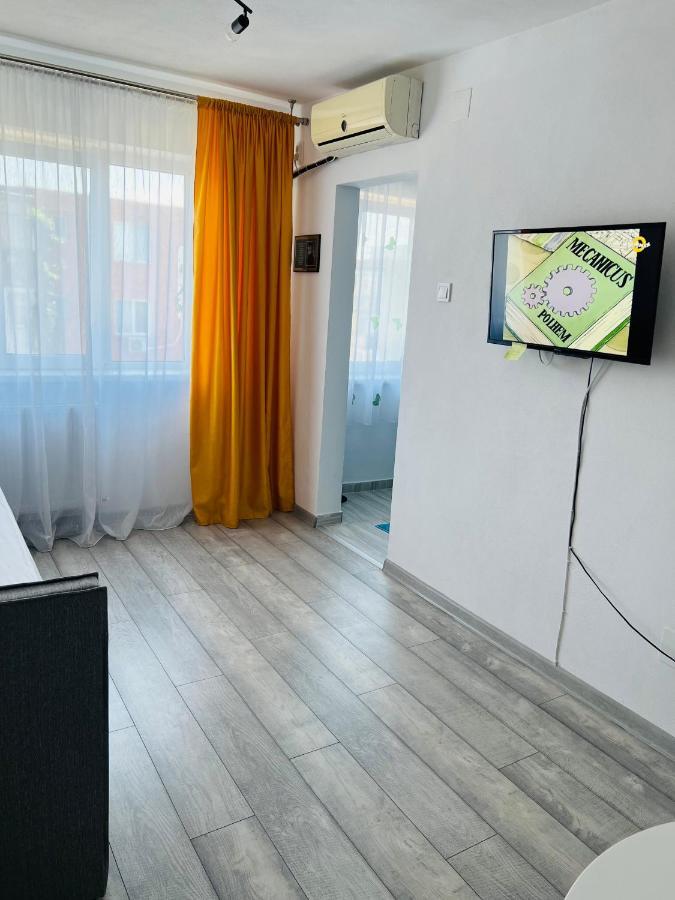 Miha Modern And Central Apartament Arad Dış mekan fotoğraf